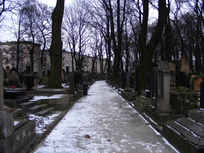 DSCF1021.JPG