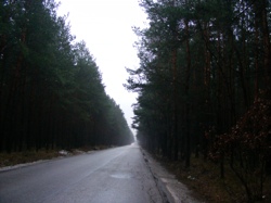 DSCF1002.JPG