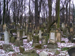 DSCF1010.JPG