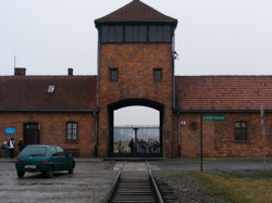 DSCF1020.JPG