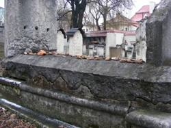 DSCF1113.JPG