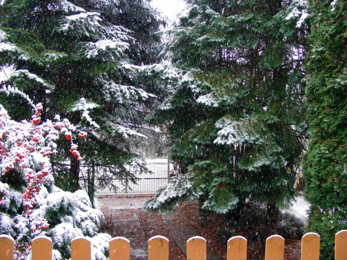 DSCF1001.JPG