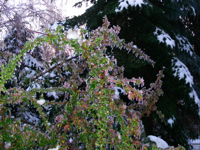 DSCF1001.JPG