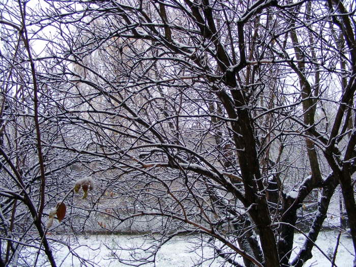 DSCF1004.JPG