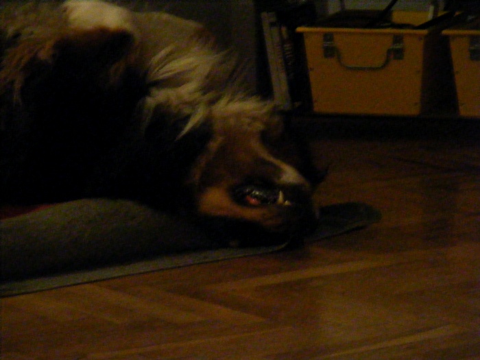 DSCF1005.JPG