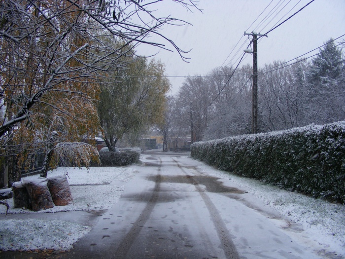 DSCF1005.JPG