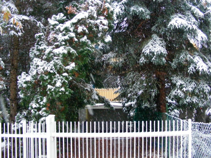 DSCF1029.JPG