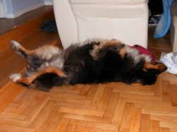 DSCF1001.JPG