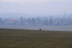 DSCF1002.JPG