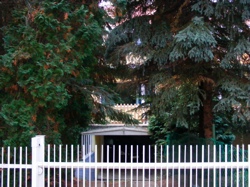 DSCF1003.JPG