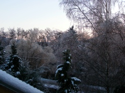 DSCF1004.JPG
