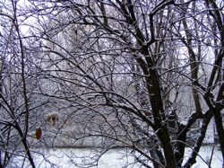 DSCF1004.JPG