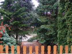 DSCF1006.JPG