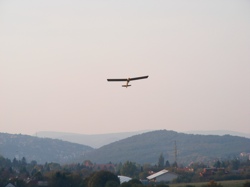 DSCF1013.JPG