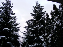 DSCF1016.JPG