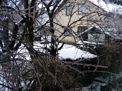 DSCF1017.JPG