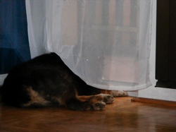 DSCF1020.JPG