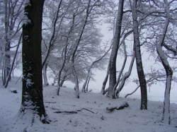 DSCF1022.JPG