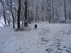 DSCF1025.JPG