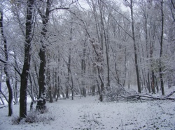 DSCF1026.JPG