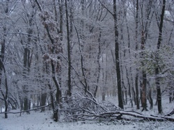 DSCF1027.JPG