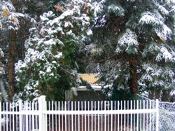 DSCF1029.JPG