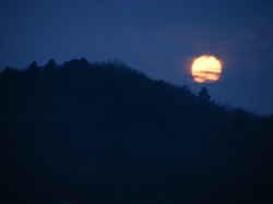 DSCF1033.JPG