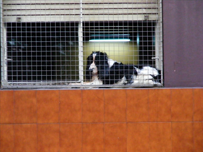 DSCF1039.JPG