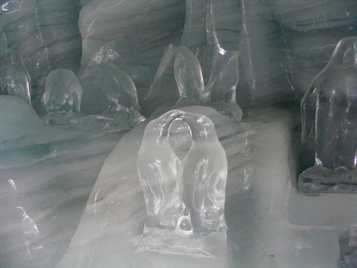 DSCF1159.JPG