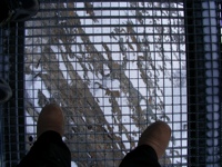 DSCF1193.JPG