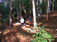 DSCF1268.JPG