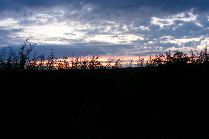 DSCF2866.JPG