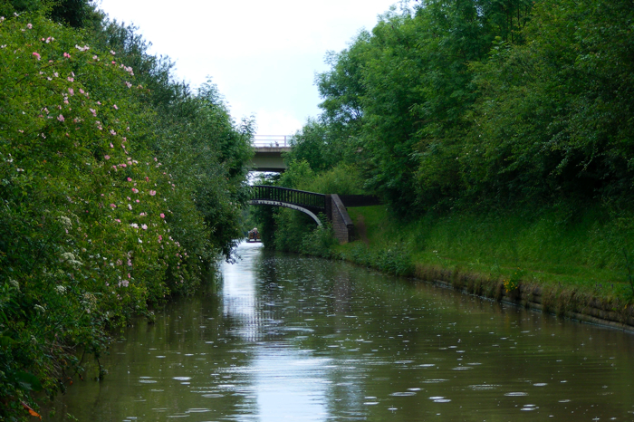 DSCF2911.JPG