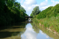 DSCF2869.JPG