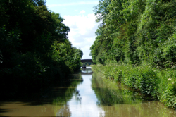DSCF2875.JPG