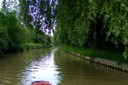 DSCF2903.JPG