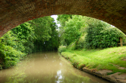 DSCF2910.JPG
