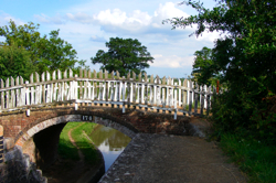 DSCF2946.JPG