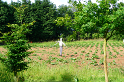 DSCF2961.JPG