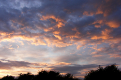DSCF2999.JPG