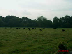 IM003206.JPG