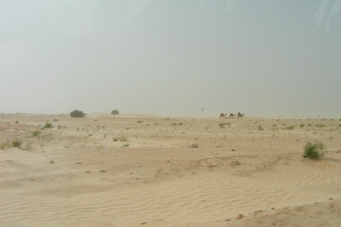 DSCF2505.JPG