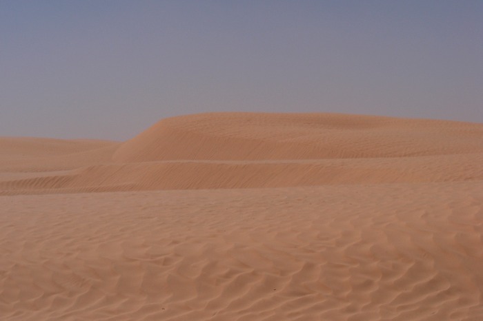 DSCF2539.JPG