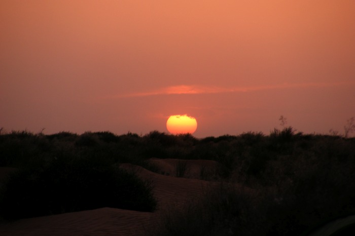 DSCF2564.JPG