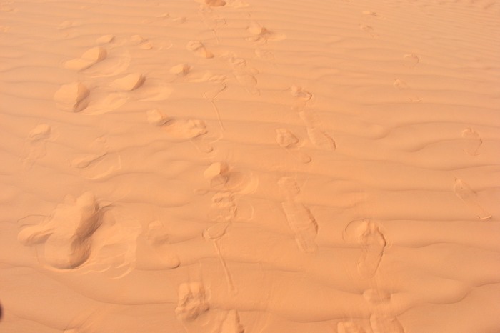 DSCF2626.JPG