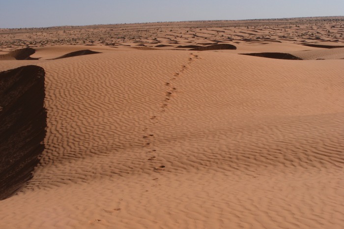DSCF2642.JPG
