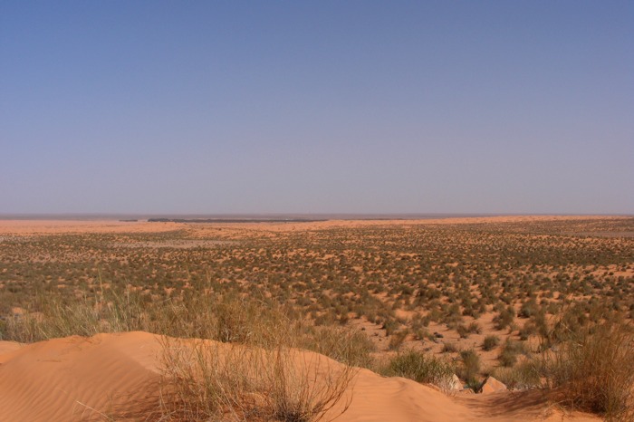 DSCF2745.JPG