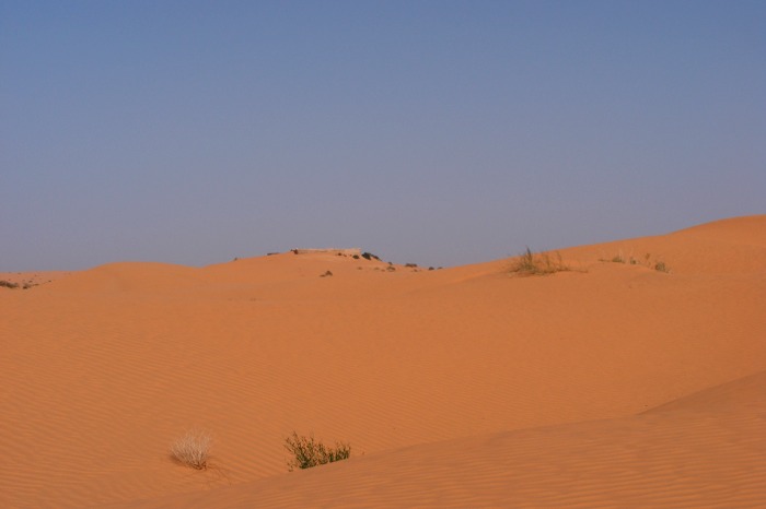 DSCF2750.JPG