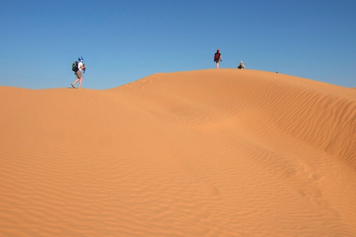 Sahara177.JPG