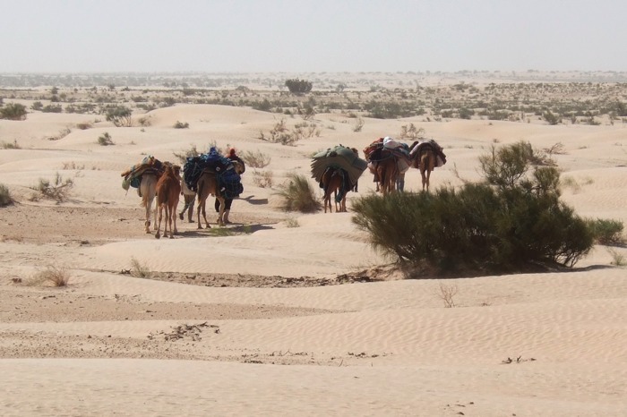Sahara061.JPG